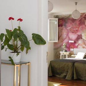 Habitación Superior